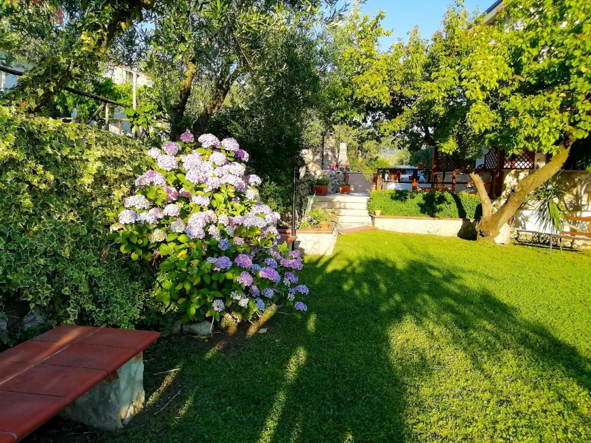 B&B Maison Villa Vittorio Avella 외부 사진