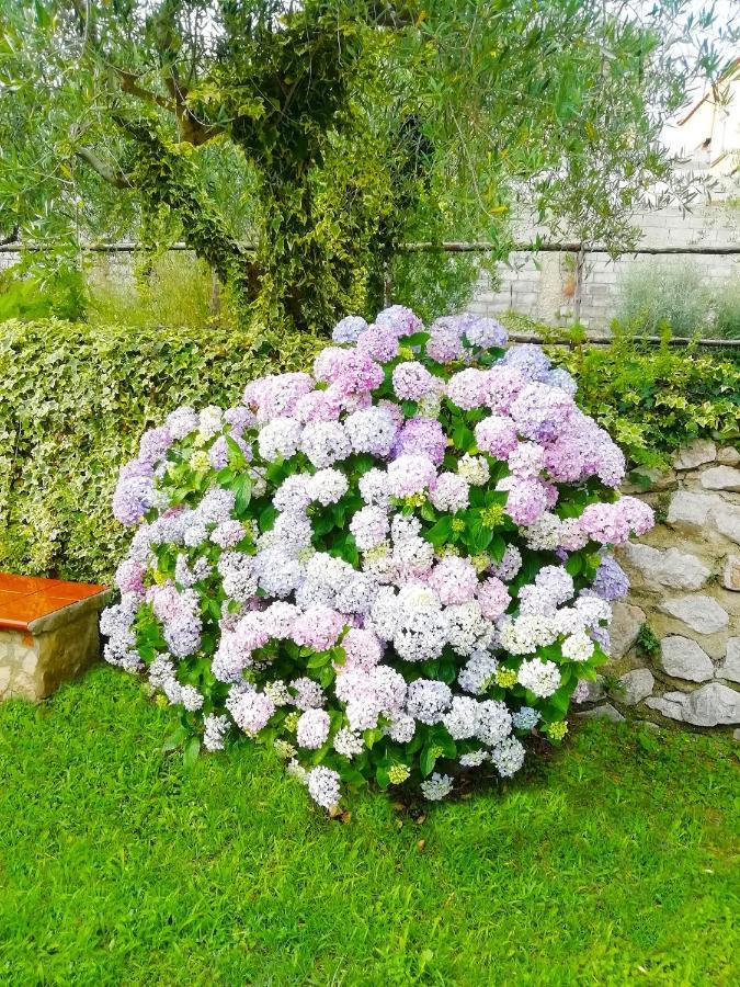 B&B Maison Villa Vittorio Avella 외부 사진